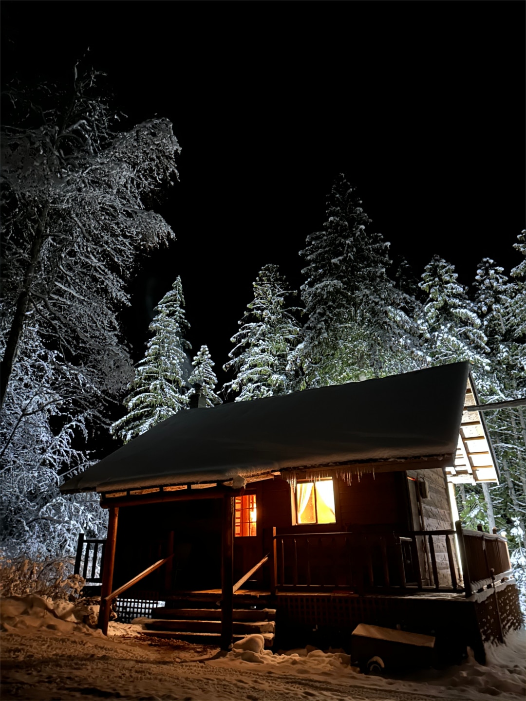 Cozy Cabins - Cabin Rentals BC - Lakefront Private Resort - Echo Lake - Beaver Night - 002
