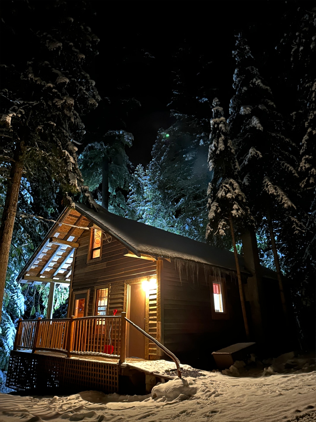 Cozy Cabins - Cabin Rentals BC - Lakefront Private Resort - Echo Lake - Moose Night - 002